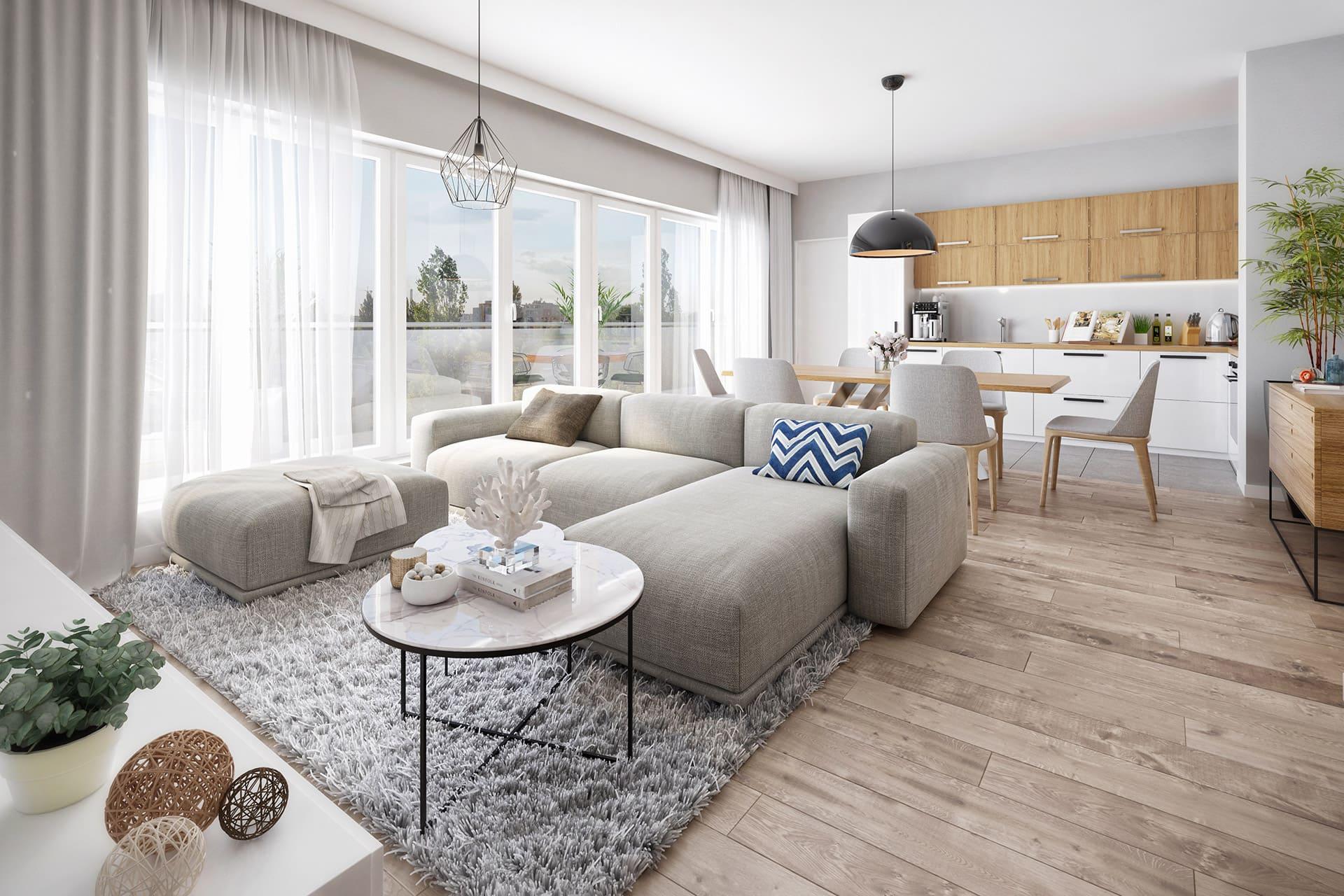 Furnished living room and a kitchen