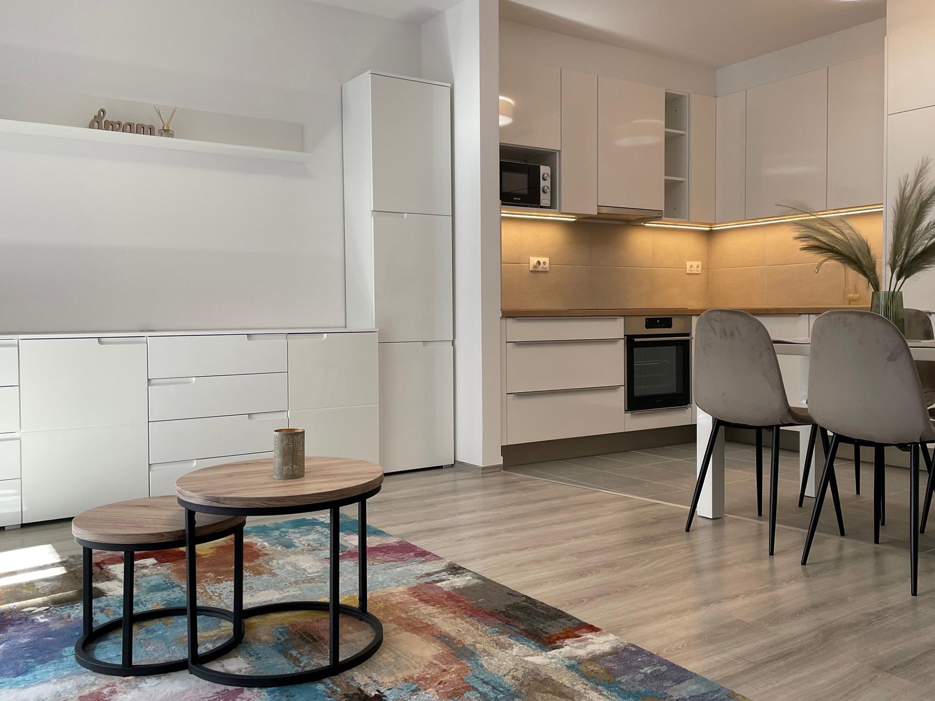 Built-in furniture in the kitchen and living room
