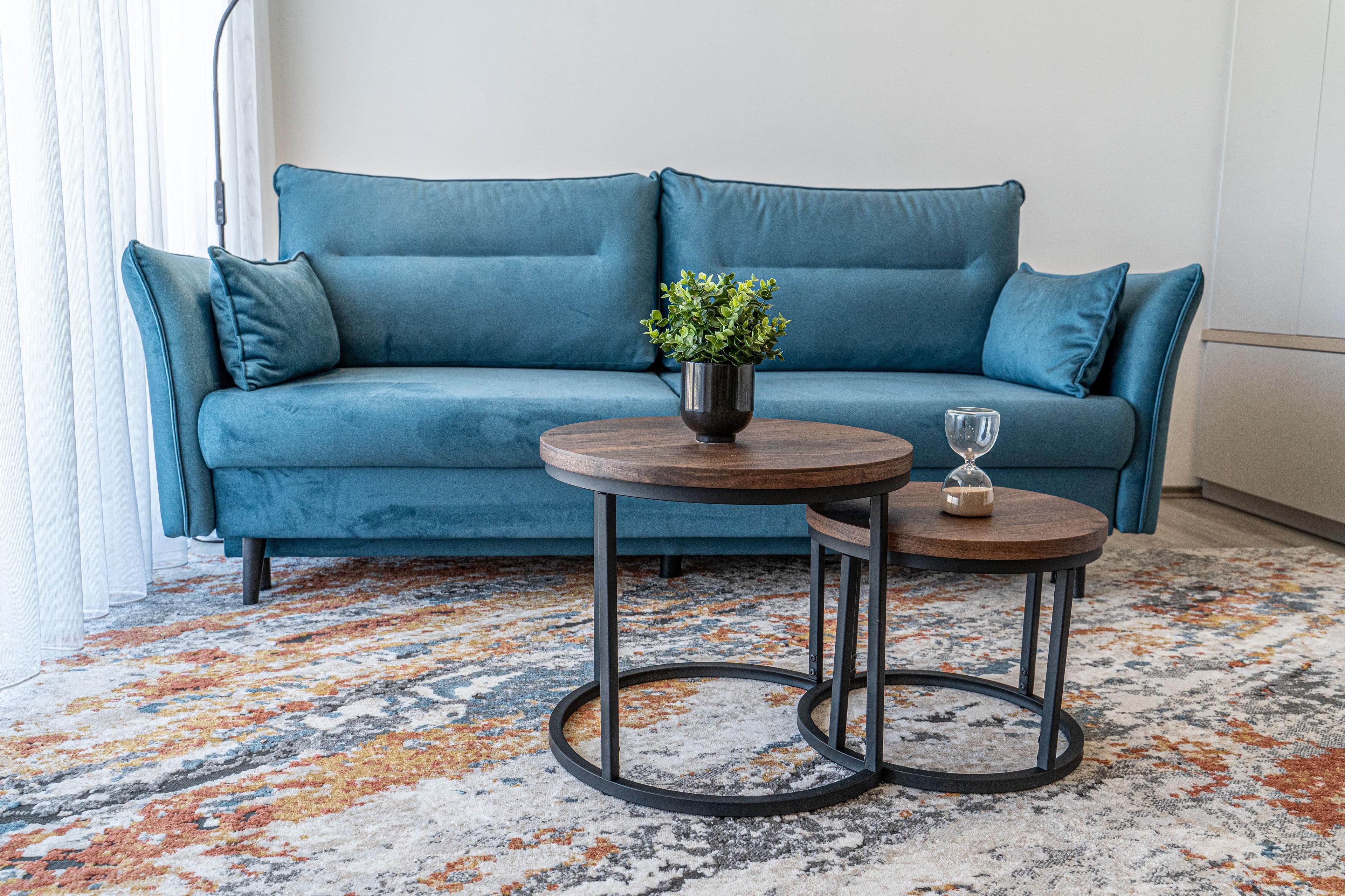 Living room couch and coffee table